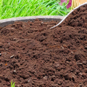 Topsoil - wnyDIRT.com Topsoil